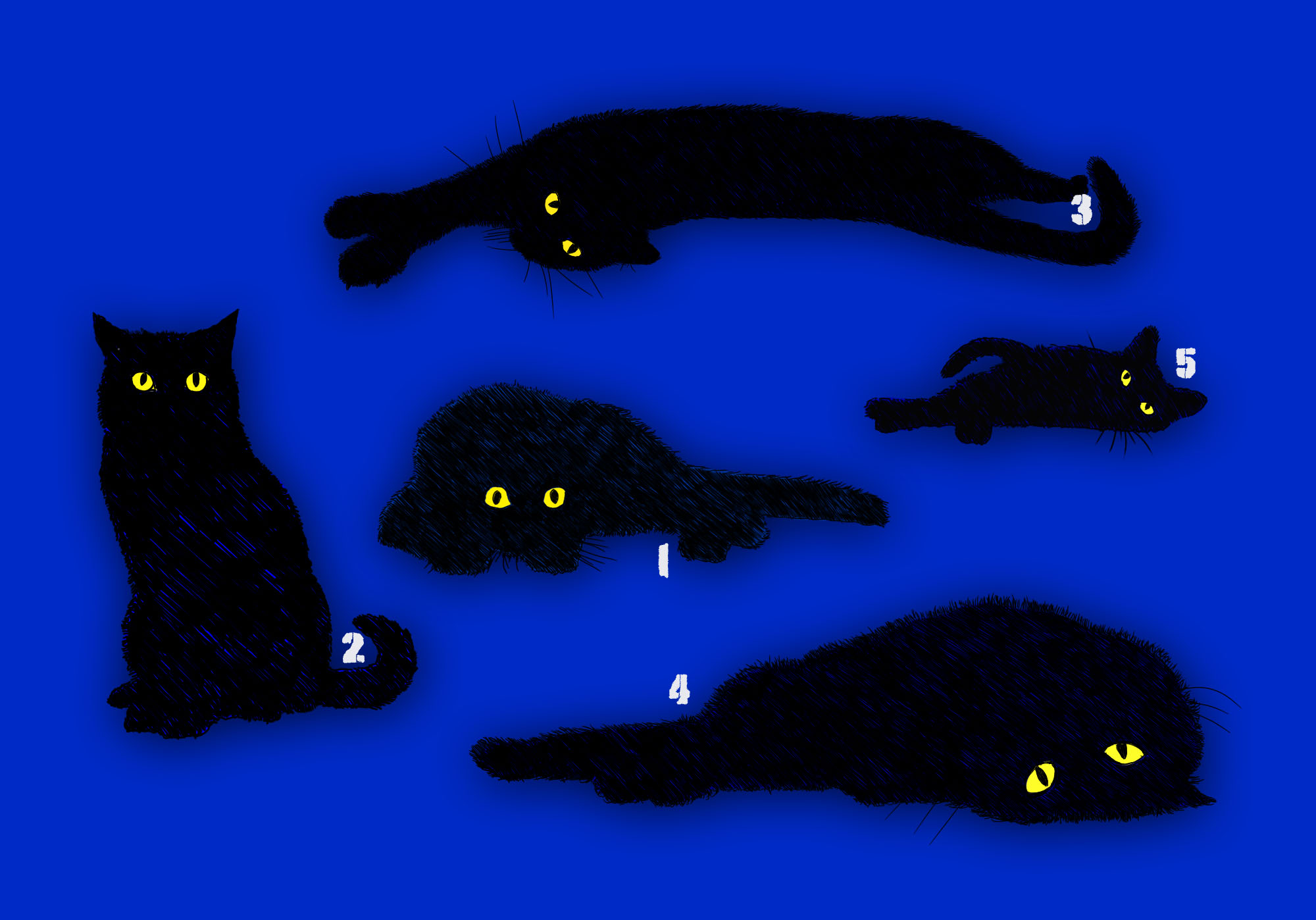 my cats, Illustration von HAAG Kommunikationsdesign Webdesign Grafikdesign