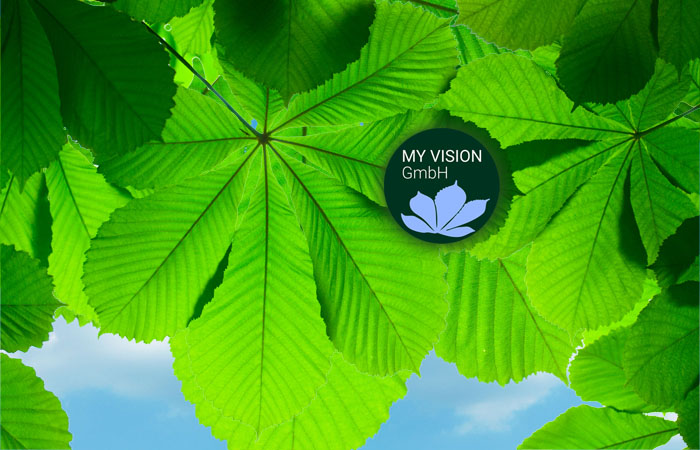MY VISION GmbH Corporate Design München