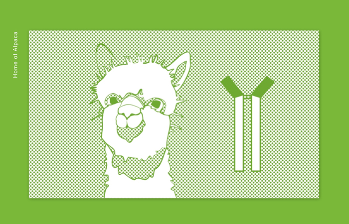 Home of Alpaca, Grafikdesign München