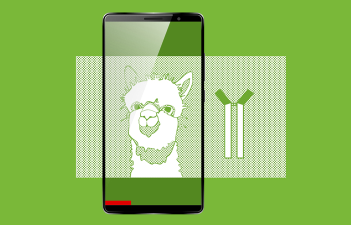 Nanobodies Smartphone Mockup München