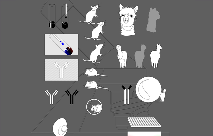 Vector-Sketches, Illustration München