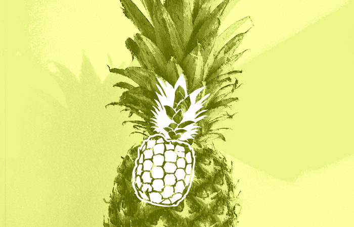 Corporate Design Salsa Bar fruits