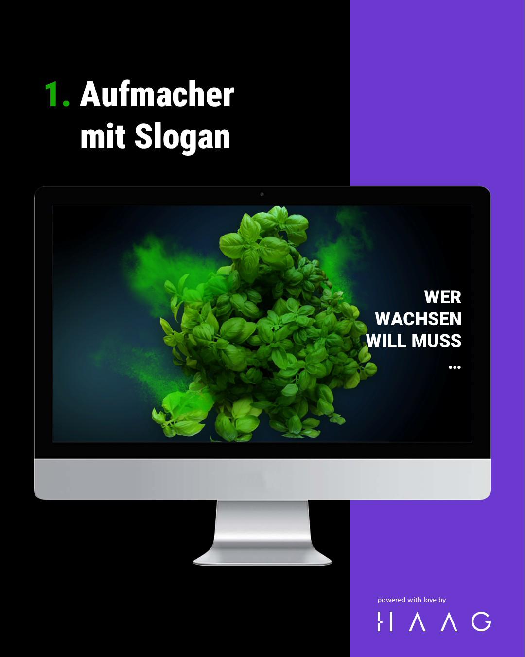 Webdesign Website HAAG Kommunikationsdesign München