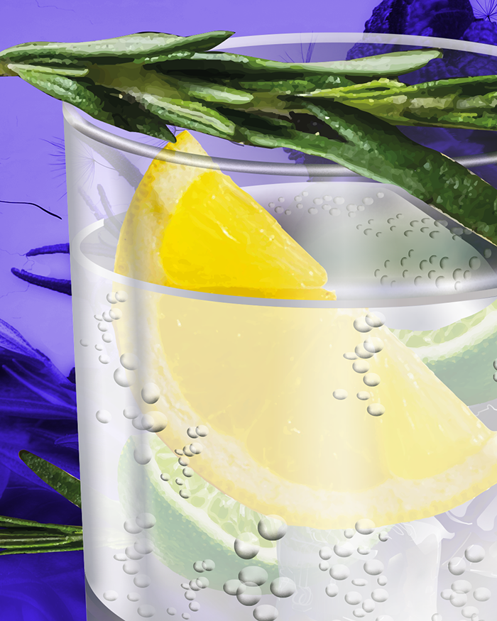 Illustration Gin Tonic Ausschnitt Vektorgrafik