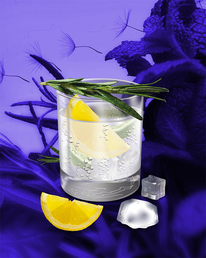 Illustration Gin Tonic Vektorgrafik